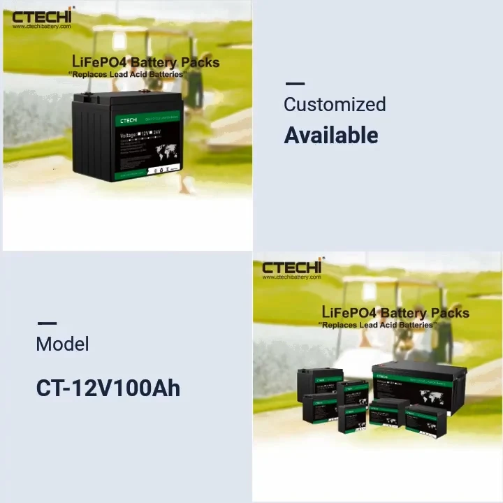 Customized 12 v lithium 100 amp hour OEM ODM Lifepo4 batteries
