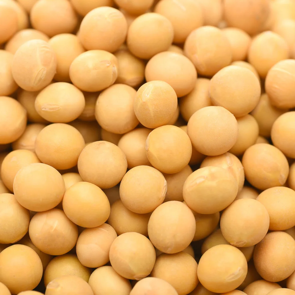 Guangzhou The first wholesaler sells well supplies continuously organic soybean