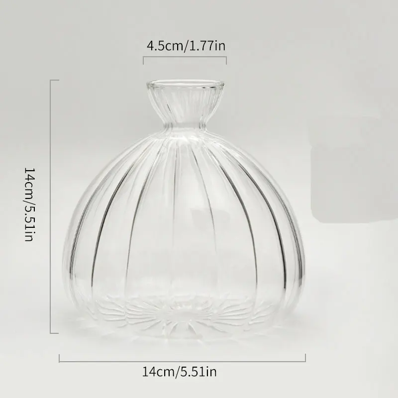 Glass Avocado Propagation Vase Clear Avocados Hyacinths Walnuts Vase Bulb blown glass vase for home