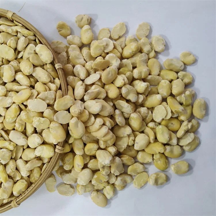 
Factory hot sell dried broad bean split peeled fava beans new crop 