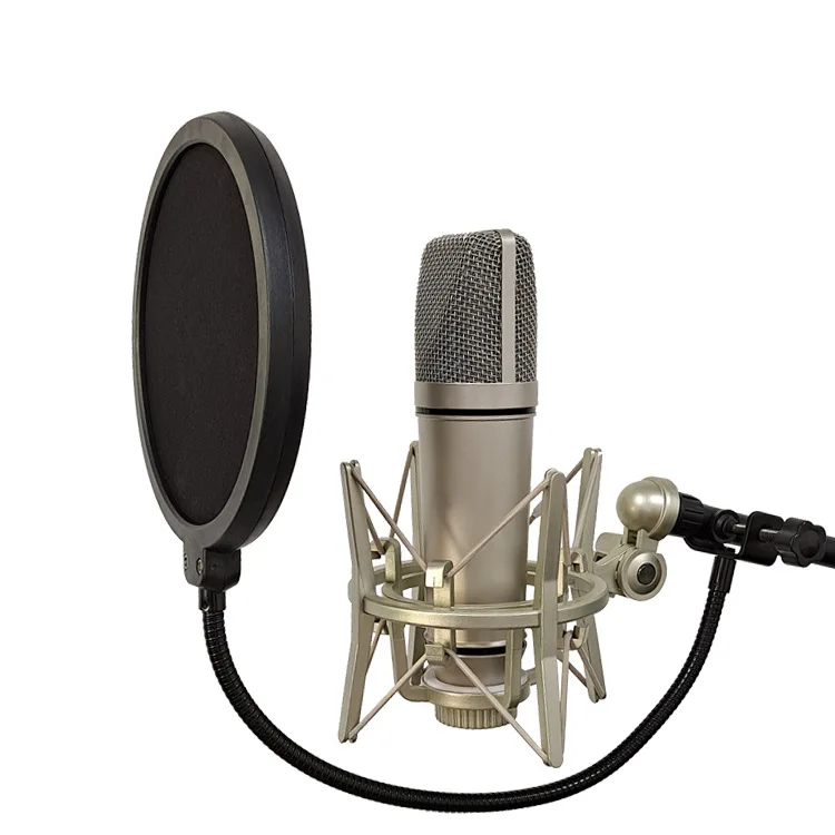 Most Good Feedback Product 2022 Recommended Product studio microphone recording speaker condenser usb