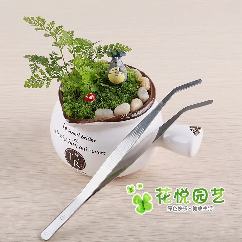 Chunjun Stainless Steel Elbow Diy 17cm Landscape Gardening Tool Tweezers