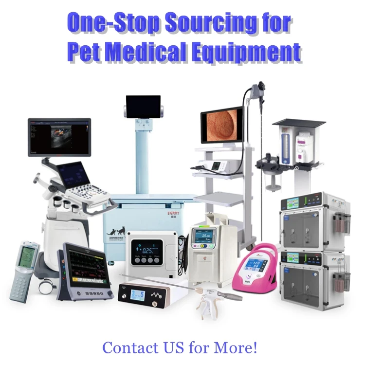 Factory Color Doppler Hospital Ultrasound Scanner Laptop Ultrasound Machine Veterinary Diagnostic Equipment Clinic Animal