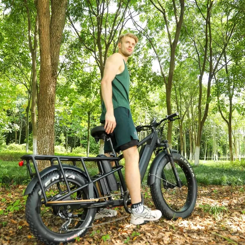 UK US EU Warehouse 1000W 48V Rear Seat Fat E-Bicycle Electric Hybrid Bike Double Battery Fat Tire Snow Beach Ebike In Eu Usa Warehouse