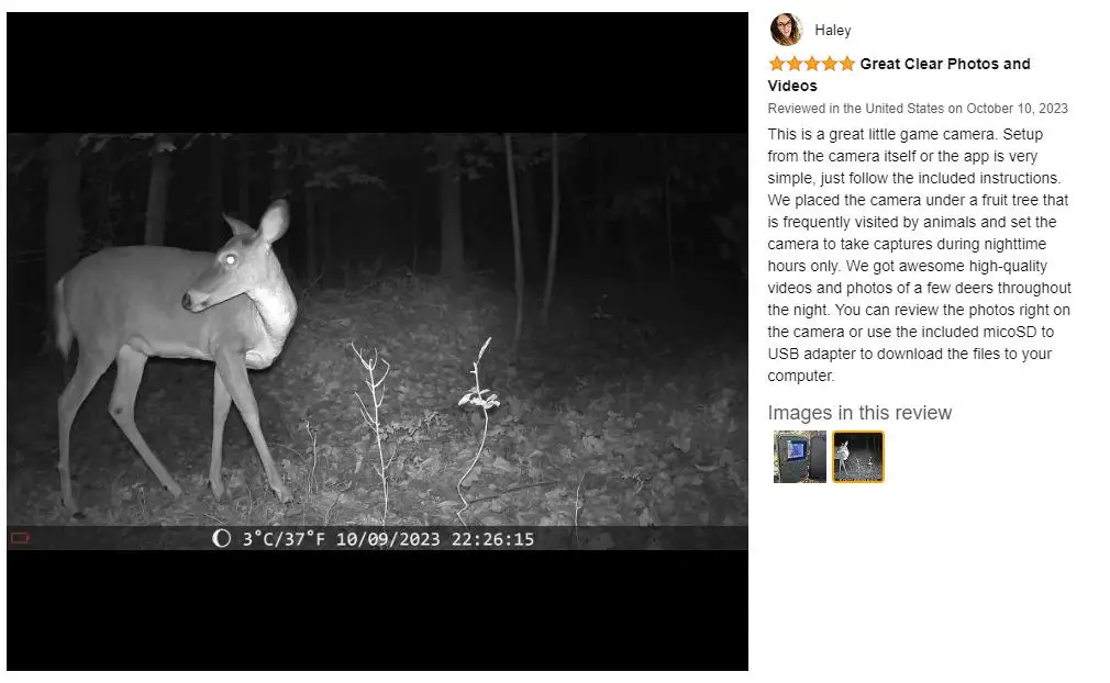 HunterCam PR700 2.7K insect animal observation camera with night vision animal detection camera spy OEM  hunting trail camera