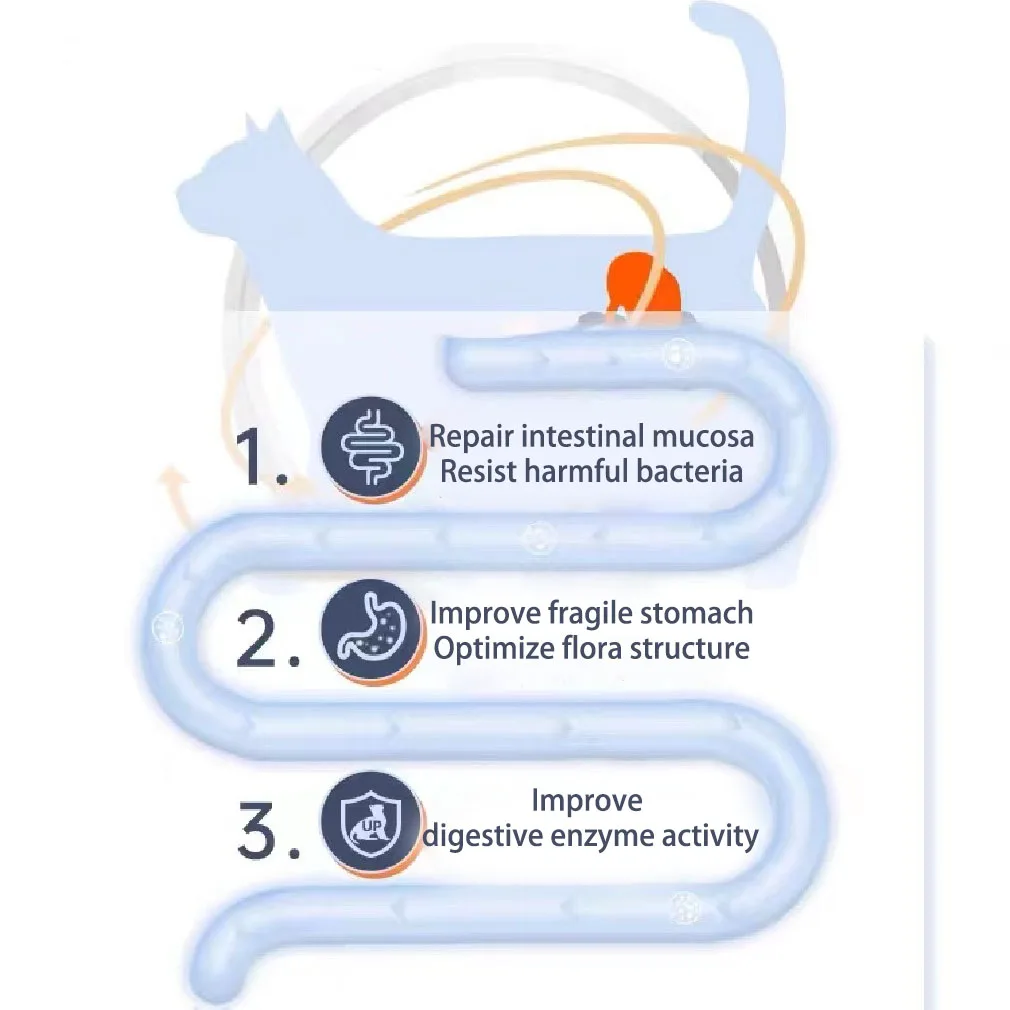 2022  Wholesale natural Dog Food 15kg/20kg OEM/ODM  Adult Dog Dry Food Adult Chicken, Beef, Salmon Flavor Dog Food