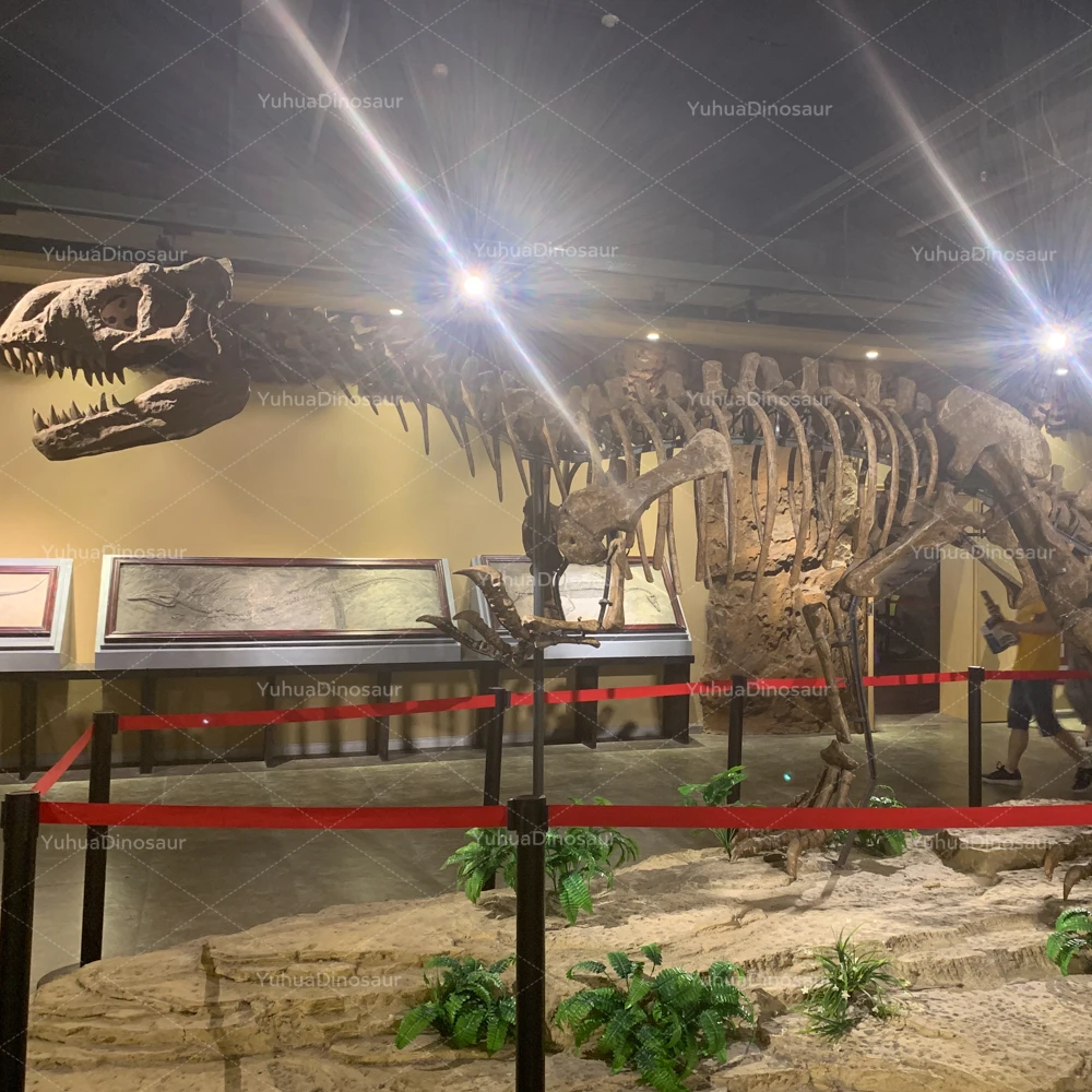 dinosaur fossil dinosaur skeleton for dinosaur theme park decoration