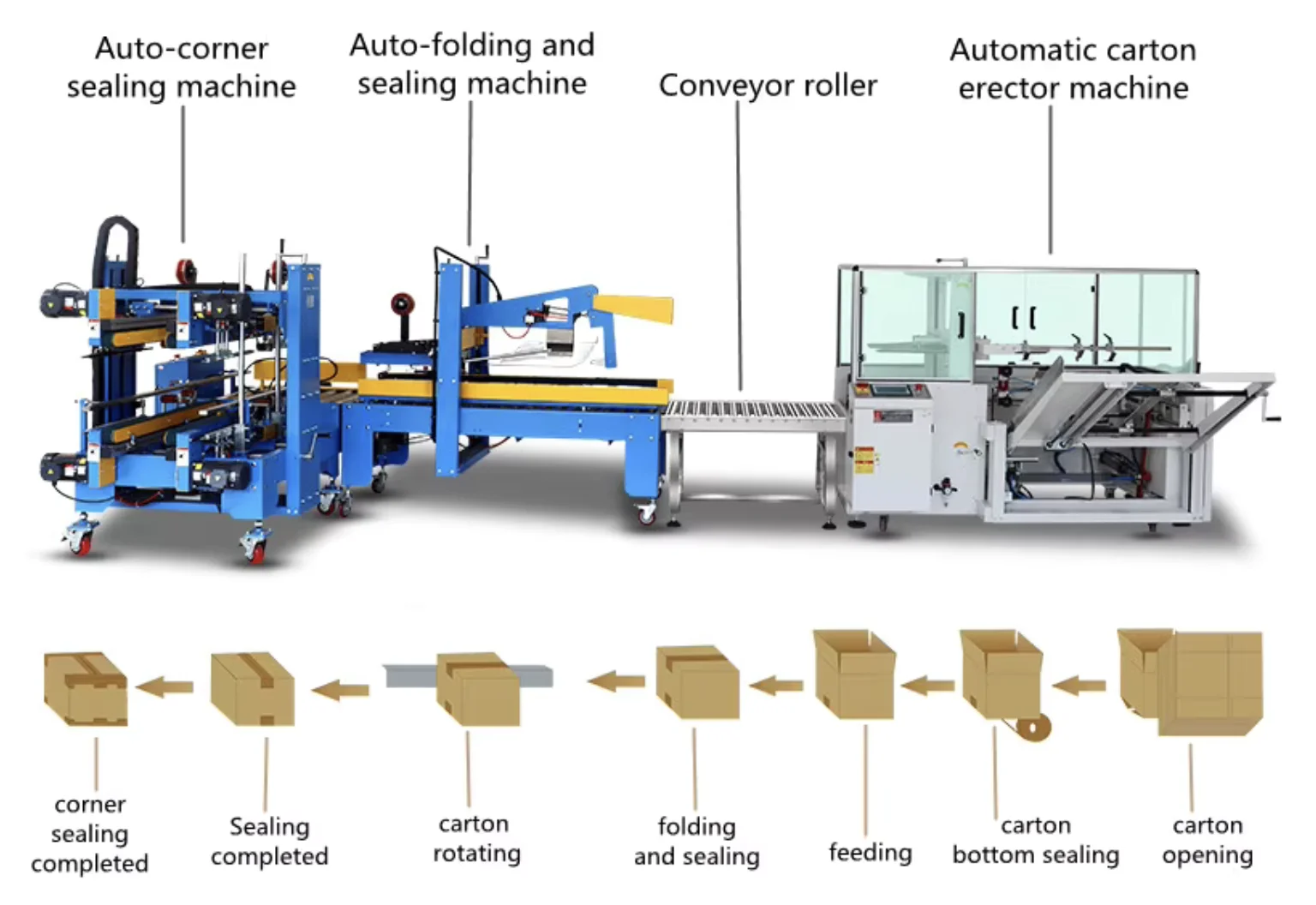 Hot melt glue carton erector /Automatic Case Erector Box Carton Erecting Machine.