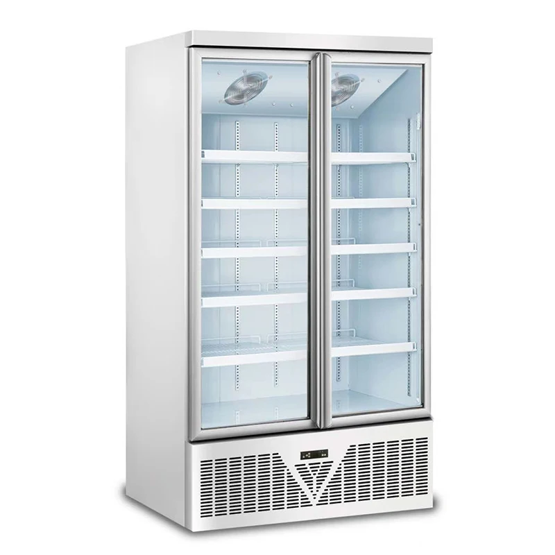 Glass double door vertical beverage freezer refrigerated display freezer for Pepsi beverage refrigerator