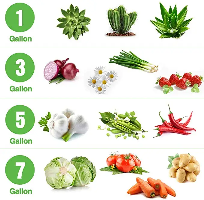 1/3/5/7/10 Gallon Biodegradable geotextile planting garden fabric grow bags for plants