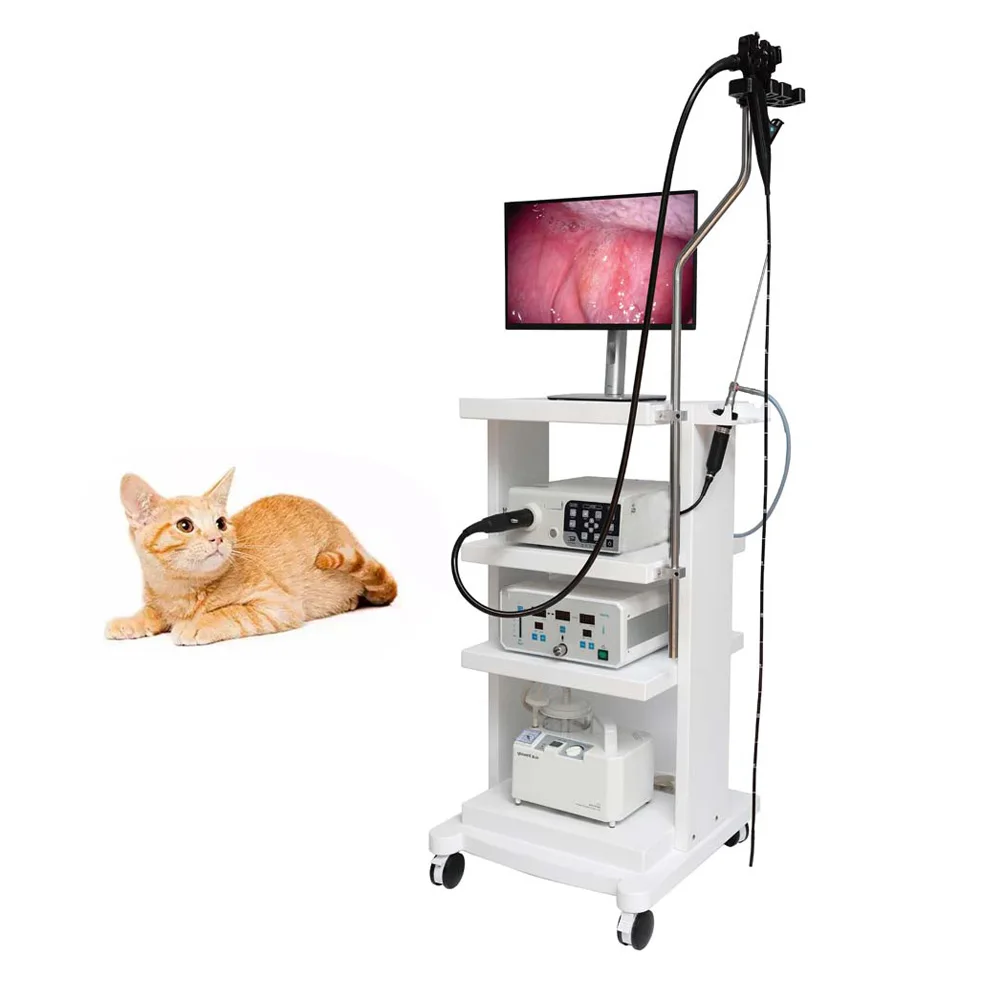 Manufacturerpet video endoscope rigid flexible camera veterinary gastrointestinal laparoscopy camera