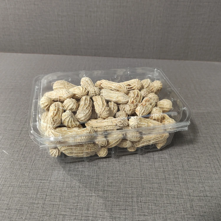 Disposable Clamshell Packaging Peanut Fruits Clear PET Plastic Box Blister Clamshell Container