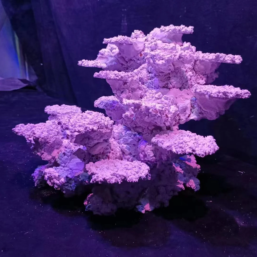 По индивидуальному заказу 60 см рыбы в аквариуме украшения Aquascaping камень для продажи