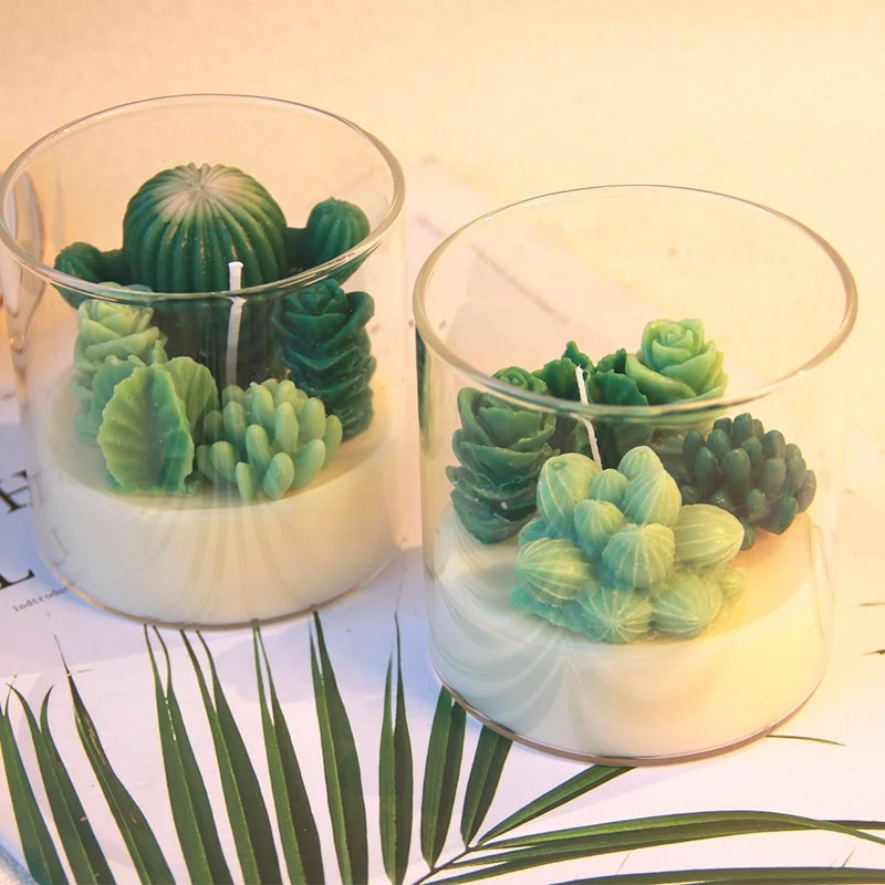 Succulents Cactus Aroma Soy Wax  Luxury Birthday Soy Wax Wedding Decoration Valentines Day Glass Jar Scented Candles