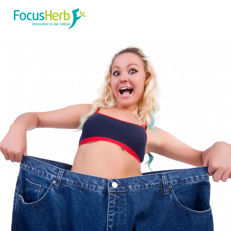 
FocusHerb HCA Powder Hydroxycitric Acid 60%, Garcinia Cambogia Extract 