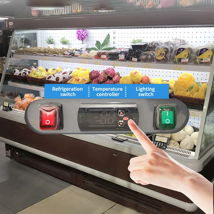 Custom Freezer Case Refrigerated Cooked Food Display Freezer Cabinet Commercial Refrigerator Display Cooler