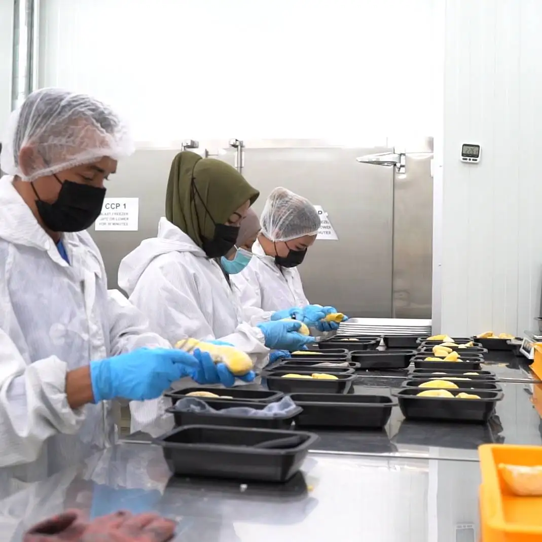 Malaysia XO Durian D24 Frozen Pulp | Newleaf Best Selling Sultan King Premium Grade Frozen Durian Seed Pulp