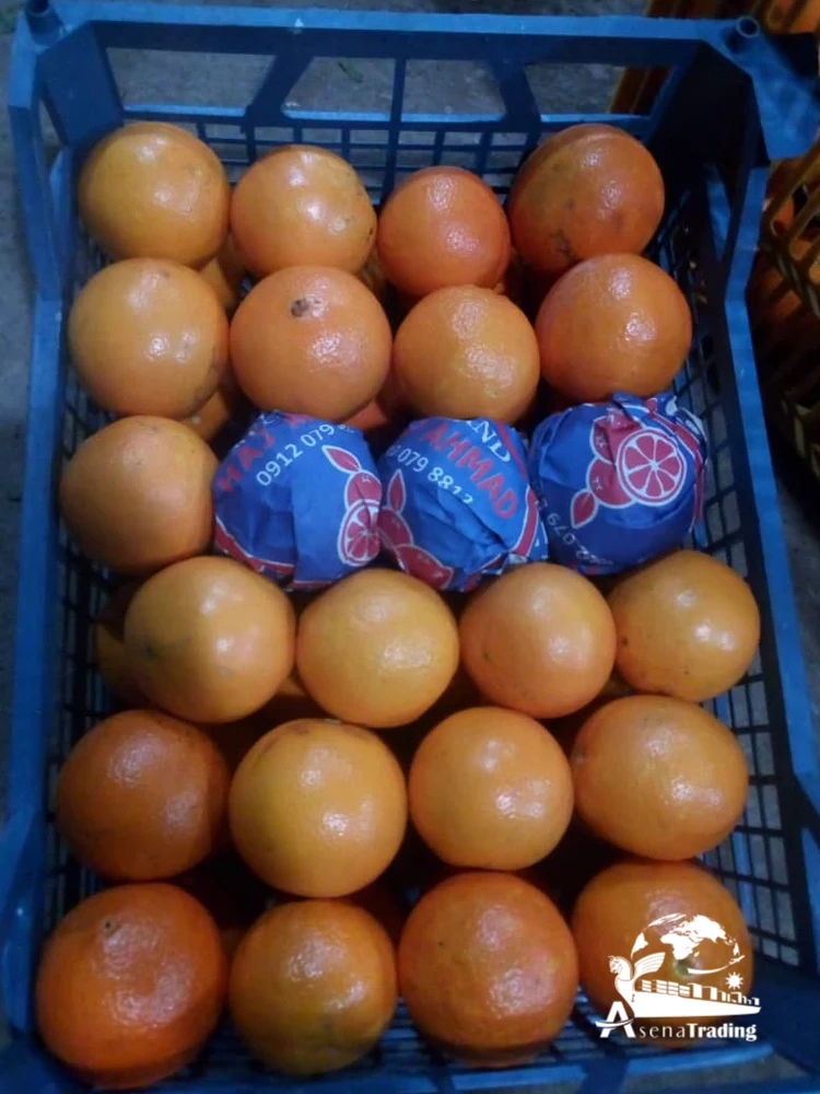 The most popular wholesale low price New crop Tangerine Fresh fruits Mandarin oranges brands fresh oranges