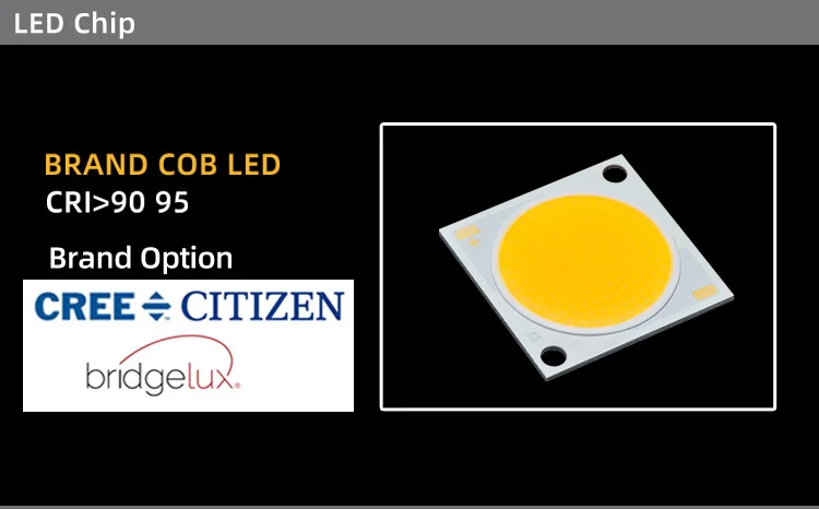 spot-light_15.jpg