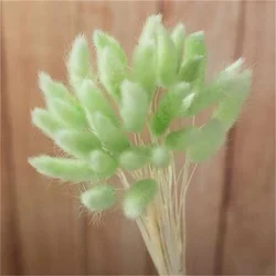 China factory wholesale custom white faux lagurus ovatus natural dried flowers dry bunny tails grass