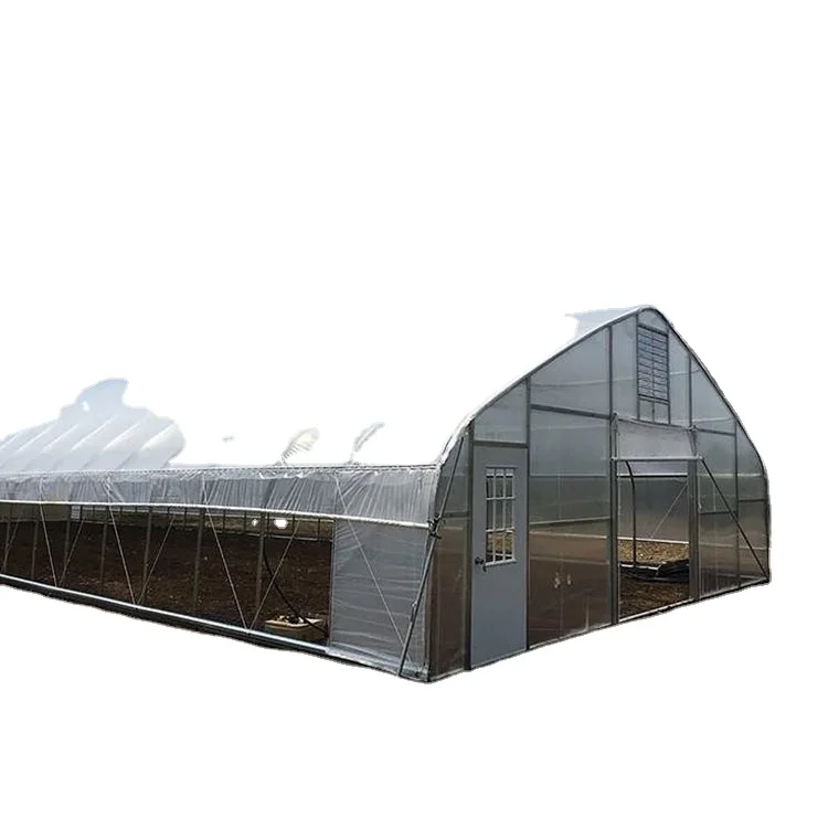 Однопролетная пластиковая пленка аквафонная система сельскохозяйственная теплица