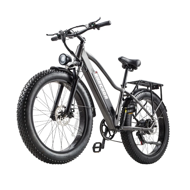 EU stock snow fat tire 1000W 48V 20AH integrated battery long distance 26inch e mountain bike ebike electric bicycle adults man