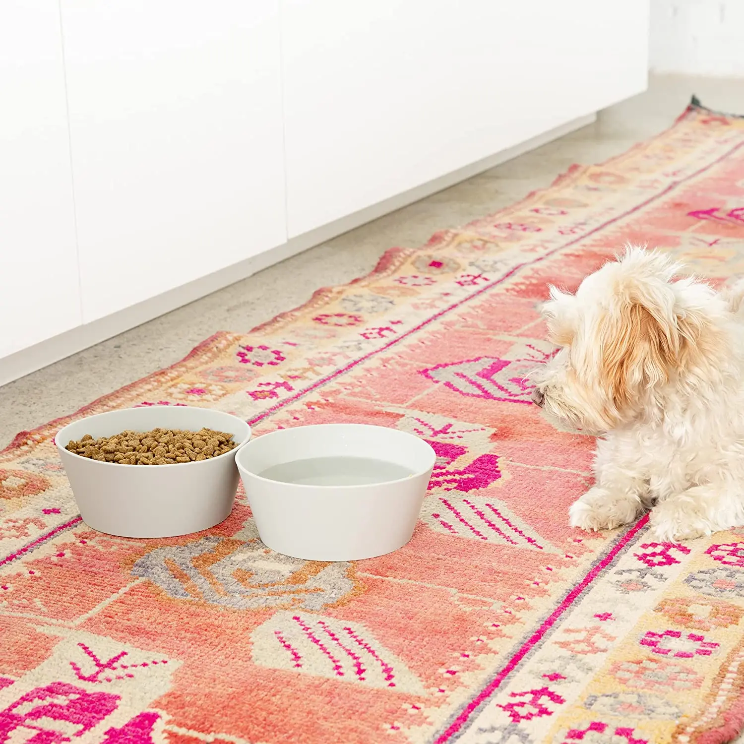 Silicone Dog Bowl for All Breeds Durable Pet Food and Water Dish Crock