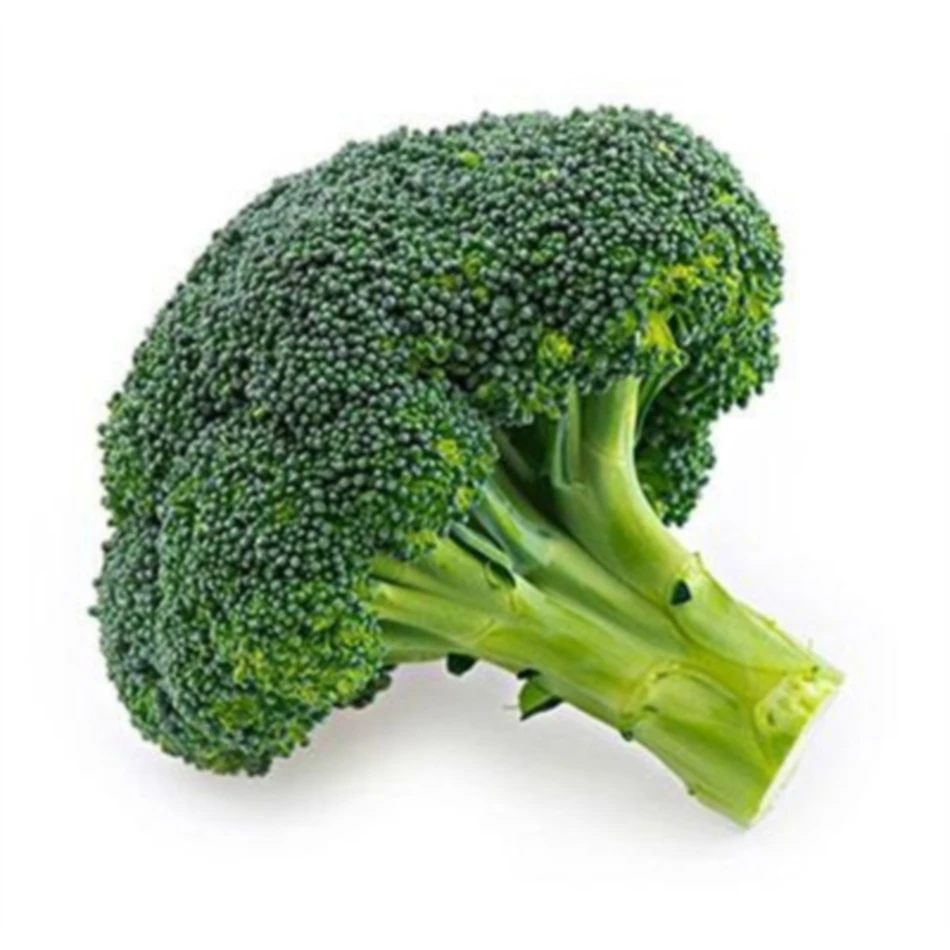 Wholesale Price Natural Organic Brocoli Vegetable Fresh Broccoli