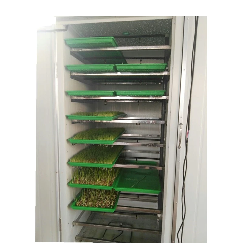 Factory Supply Directly Automatic Mung Bean Sprouts Hydroponic Machine With 25kg/d