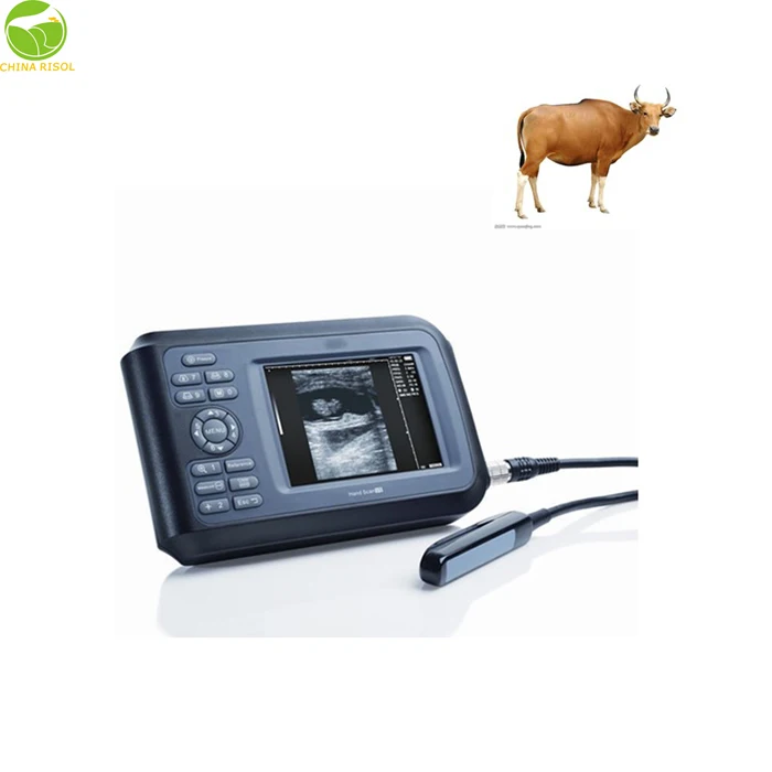 Professional vet use hot selling portable ultrasound machine veterinary testing for swine sheep horse dog rabbit