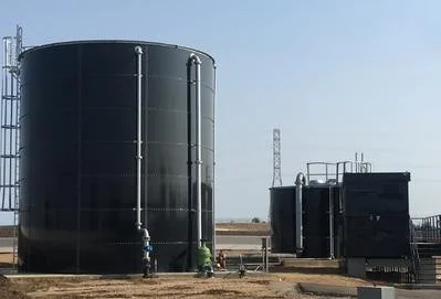 Organic Food Fruits Waste Animal Manure Dung Waste Slaughterhouse Home Industrial Large Biogas Plant Anaerobic Digester System