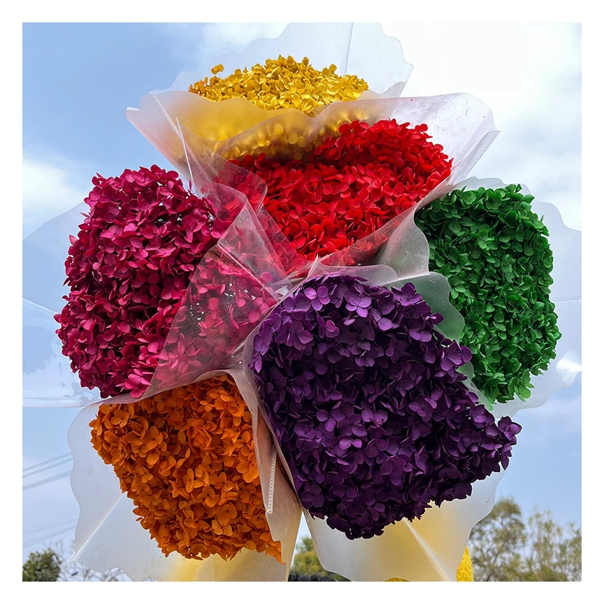 Wholesale Preserved Plants Dry Hydrangea Dried Flowers Big Cream Preserve Large Hydrangeas Flower Head Hydrangea
