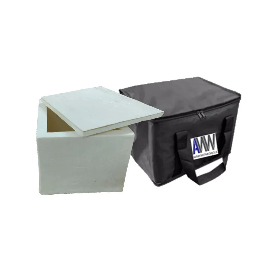 Premium Temperature Controller Box PU Box-20 Cold Chain Logistics Cold Packaging Cooler Bags from Thailand