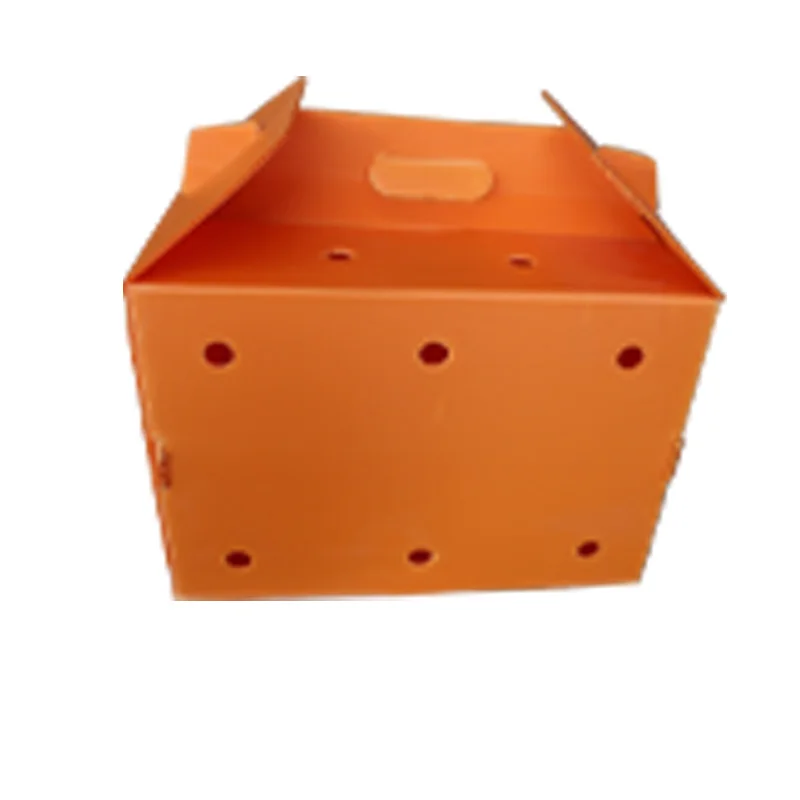 PP Corrugated Plastic Sheets with corona treatment