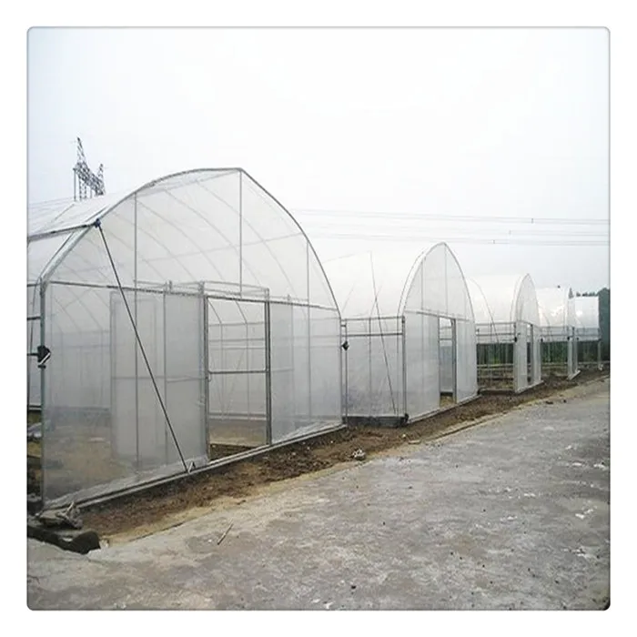  China supplier steel framework tunnel blackout single span green house for