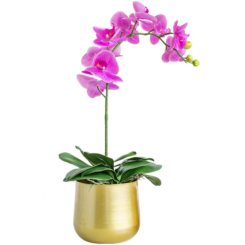 wholesale customized decorative gold metal flower pot from China