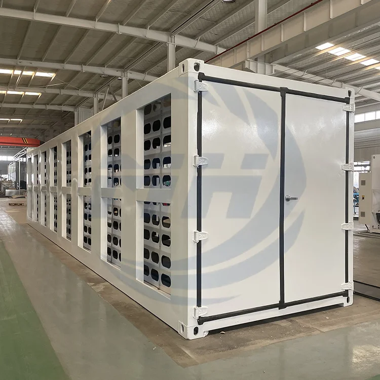 Custom energy reserves container offshore container 20ft shipping container