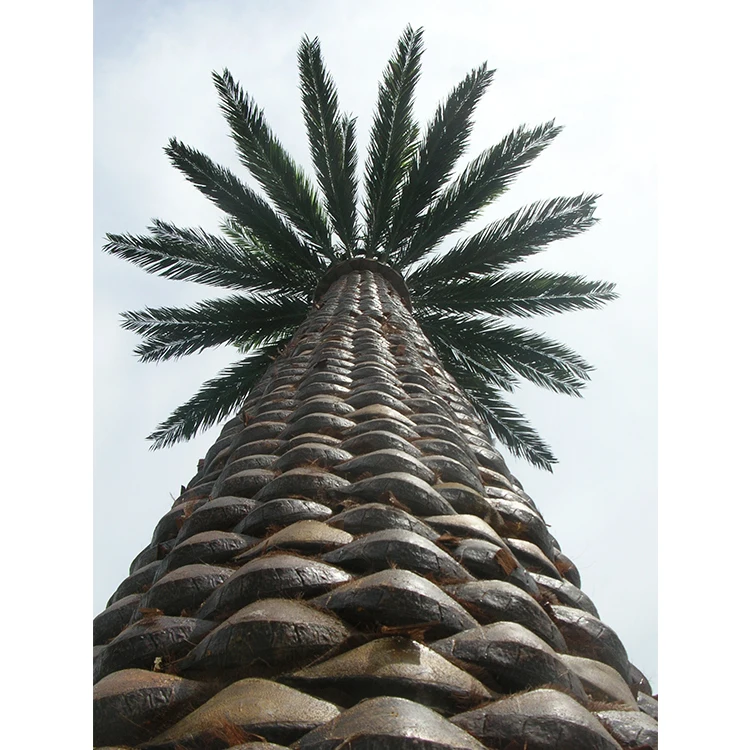 Manufacturer Supply telecommunication tower & accessories Camouflaged Palm Artificial Tree Monopole Tower