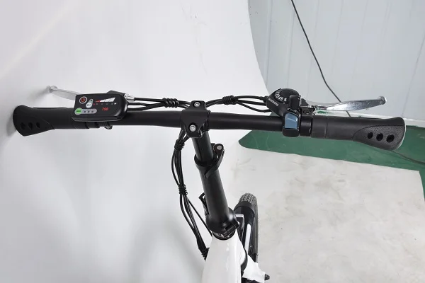 36 в дешевый Электрический велосипед/250 Вт электровелосипед/Взрослый велосипед для продажи