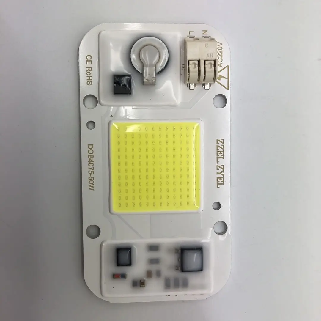 zzeverlight Manufacturer 10w 20w 30w 50w 100w Watt AC220V Cob Led Chip  heatsink