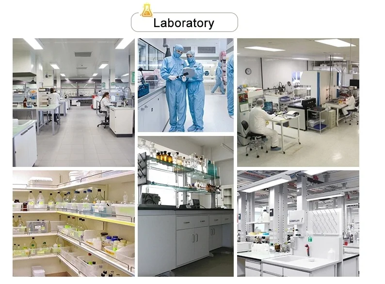 Factory bulk supply ready stock 98% Spermidine trihydrochloride CAS 334-50-9 Spermidine 3HCL with high quality and lowest price