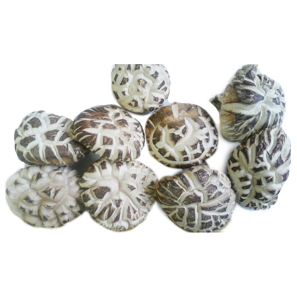 
Japan Raw Brown Shiitake gourmet shelf life wholesale dried mushrooms 
