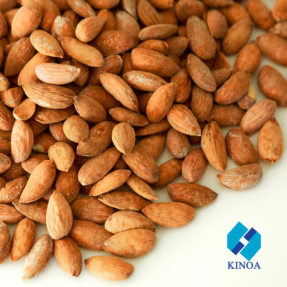 
High quality non GMO Uzbekistan raw almond nuts badam almonds 