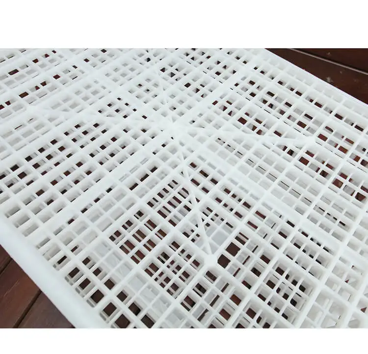 chicken transport (7)