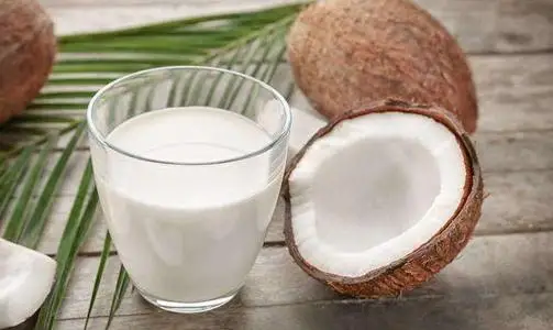 
fresh coconut processing line 