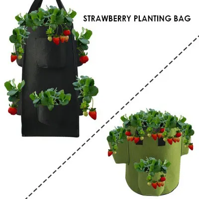 
Cross-Border Strawberry Growing Bag Vanilla Non-Woven Felt Hanging Plant Ggrowing Bag 
