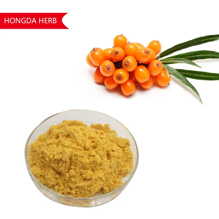 Best Quality Sea Buckthorn Fruit Extract Juice Powder Chinese Sea Buckthorn Powder (1600555088359)