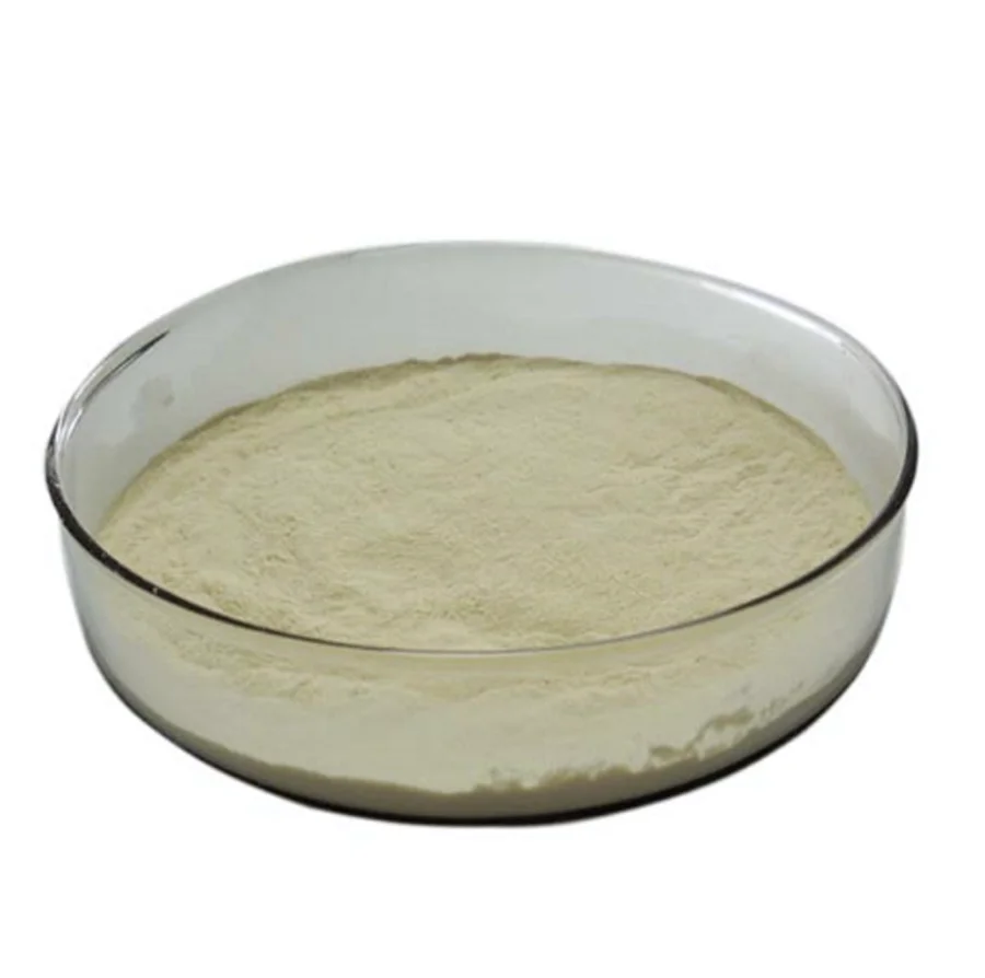 New Listing 99% Liquid White to yellow and clear  Ethyl Picolinate Cas 2524-52-9