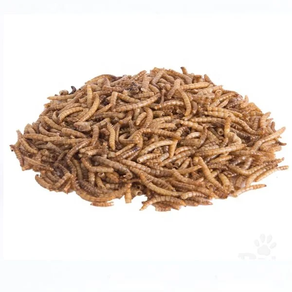 Bird Feed High Protein Microwave Dried Black Soldier Fly Larvae