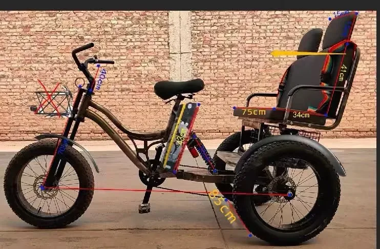 20 inch 48V750W500W Electric Cargo Bike power electric tricycle coarse tire snow lithium electric three-wheeled bicycle